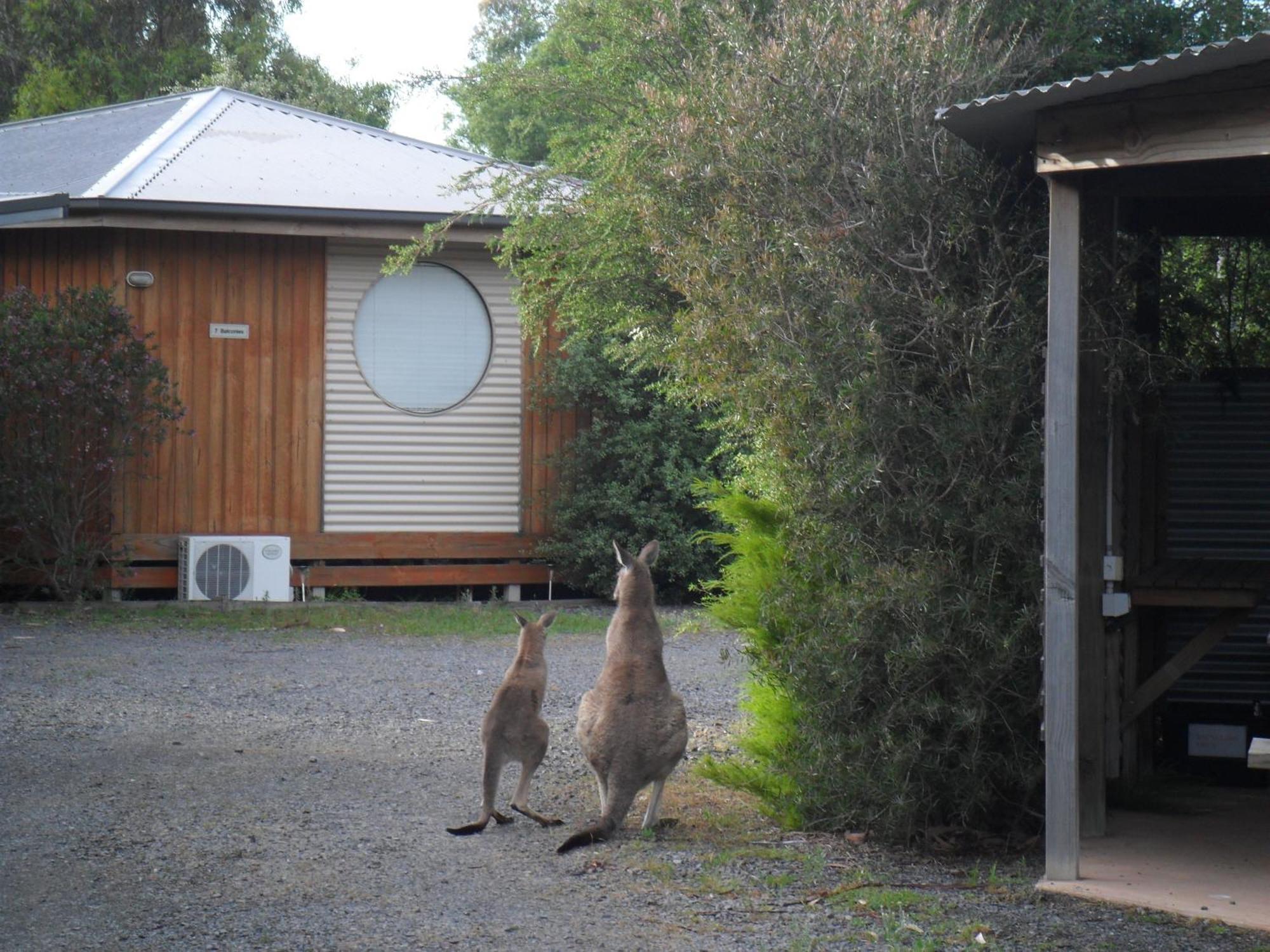 Grampians Chalets Halls Gap Exterior foto