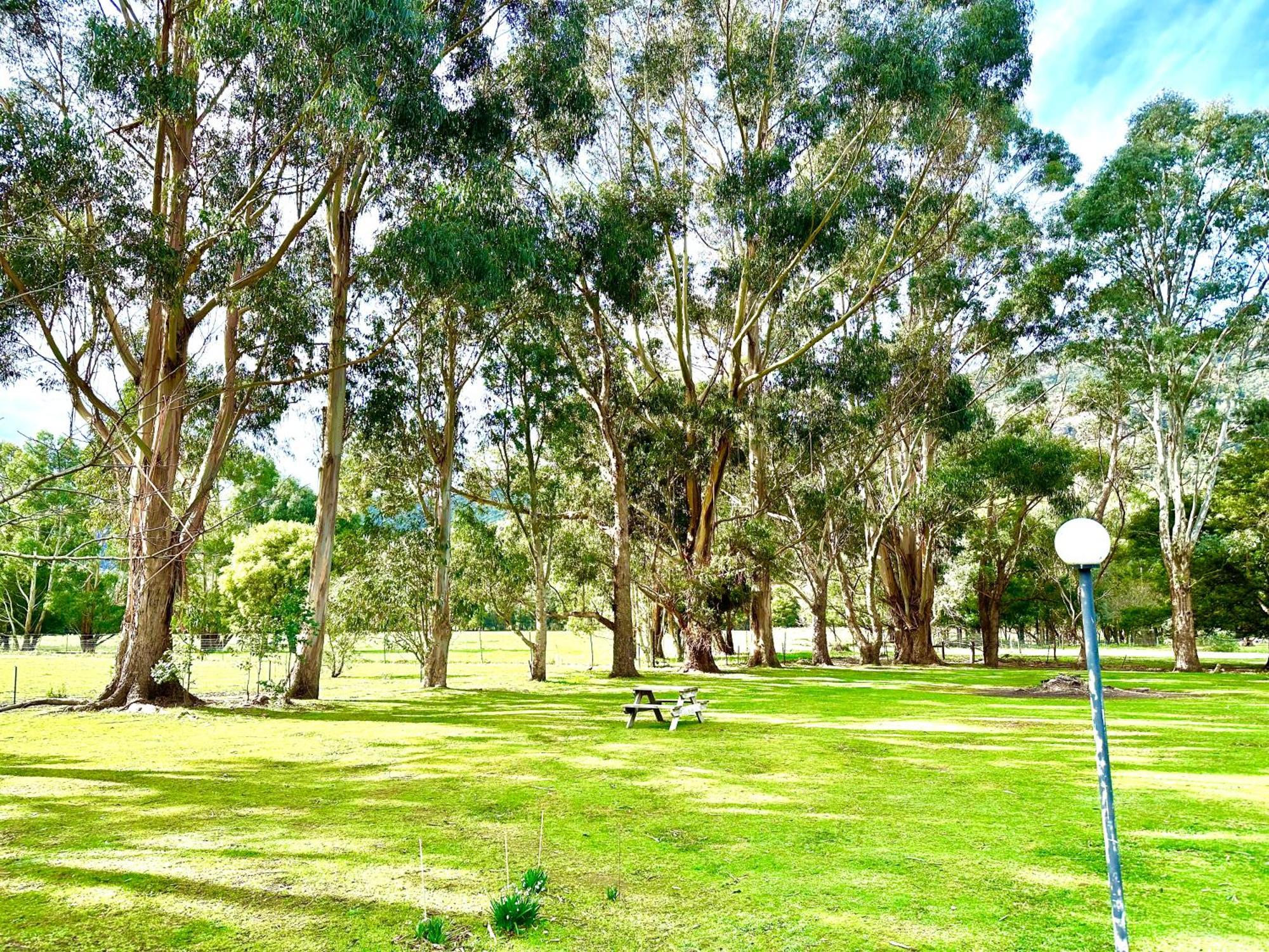 Grampians Chalets Halls Gap Exterior foto